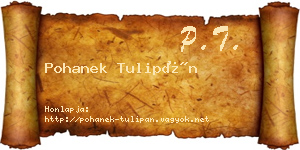 Pohanek Tulipán névjegykártya